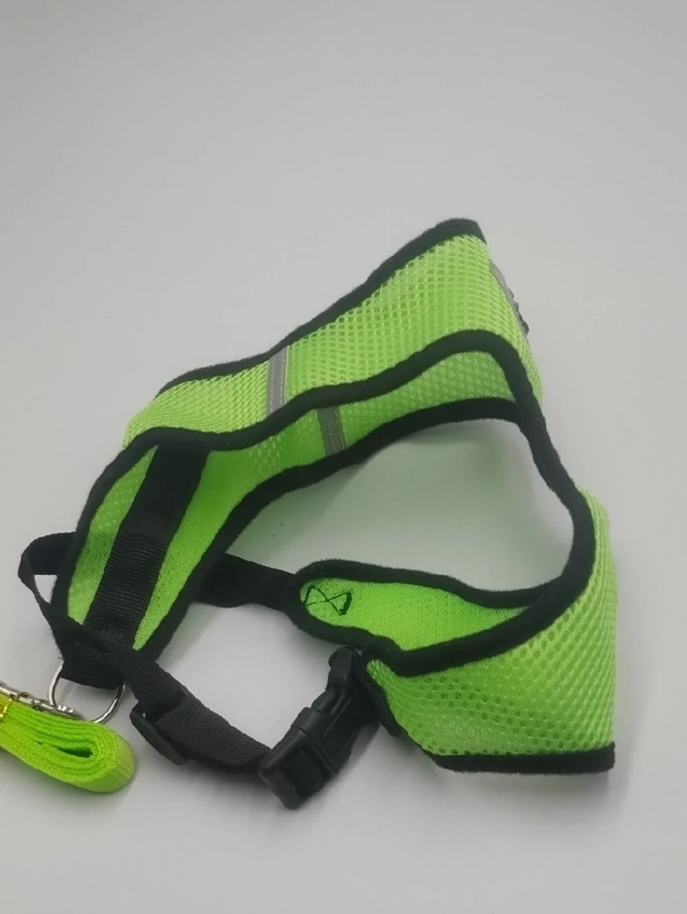 High-Visibility Neon Green Reptile Harness and Leash